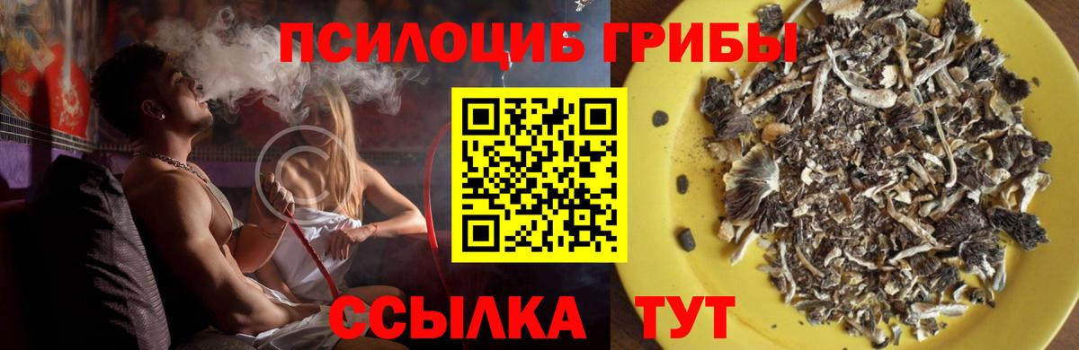 Псилоцибиновые грибы Psilocybine cubensis Белебей